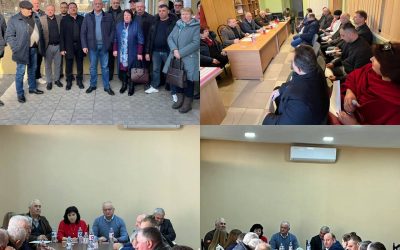 Плодотворные беседы с руководством территориальных организаций Партии социалистов в Яловенах и Хынчештах